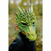 DRAGON GREEN MASK