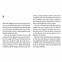 UNDERNEATH---KATHI APPELT  David Small  Newbery Honor