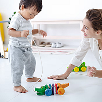 PLAN RAINBOW ALLIGATOR