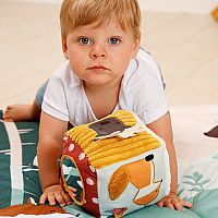 SOFT ACTIVITY CUBE FOREST