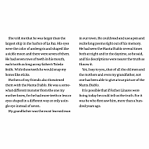 The Black Pearl --Newbery Honor  Scott O'Dell