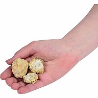 SMASH N BASH GEODES