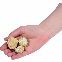 SMASH N BASH GEODES