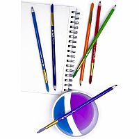 LIL' COLORBRUSH