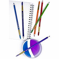 LIL' COLORBRUSH