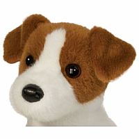 FIONA KACK RISSEL TERRIER