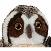 ECHO OWL