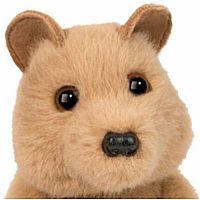 QUINCE QUOKKA MINI SOFT