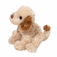 BISCUIT CAVAPOO