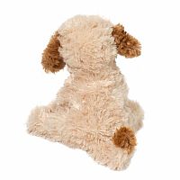 BISCUIT CAVAPOO