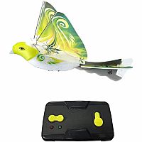EBIRD GREEN PARROT
