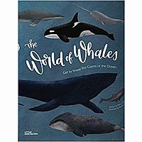 WORLD OF WHALES GIANTS OF OCEAN