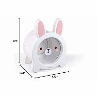 MONEYBOX RABBIT