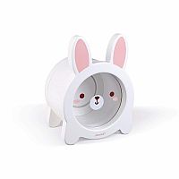 MONEYBOX RABBIT