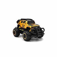 ALL CITY ORLANDO MINIS RC