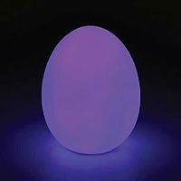 GLOWING EGG