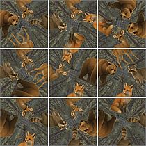 SQUZZLE PUZZLE WILDLIFE