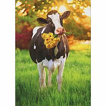 COW WITH FLOWERS GET WELL CARD