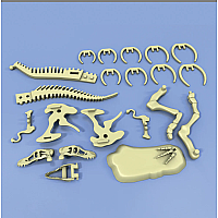 GIANT T-REX SKELETON MODEL