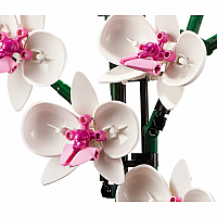 LEGO ORCHID