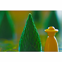 Enchanted Forest