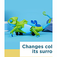 ROBOTIC PET CODING CHAMELEON