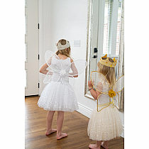 SHIMMER WINGS SILVER