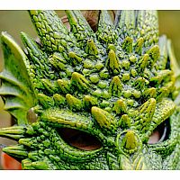 DRAGON GREEN MASK