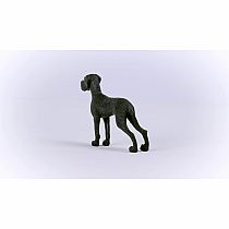 Great Dane