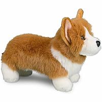 Louie Corgi