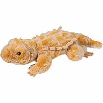 BOOGIE BEARDED DRAGON