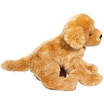 Bella Golden Retriever