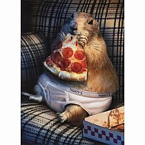 PRAIRIE DOG UNDERWEAR BDAY CRD