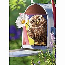 MAILBOX OWL ENCOURAGEMENT CARD