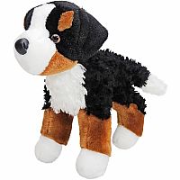 Miranda Bernese Mountain Dog