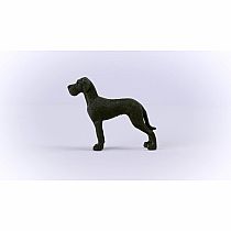 Great Dane
