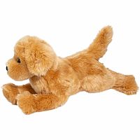 Bella Golden Retriever