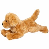 Bella Golden Retriever