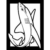 Sharks Stained Glass Coloring Book