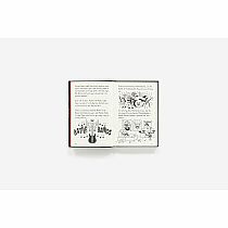 DIARY WIMPY KID 17--Jeff Kinney
