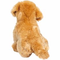 Bella Golden Retriever