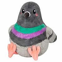SQUBL PIGEON