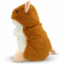 Brushy Hamster
