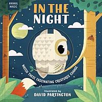 MAGIC WINDOW IN THE NIGHT --Harriet Stone David Partington