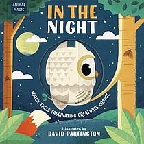 MAGIC WINDOW IN THE NIGHT --Harriet Stone David Partington