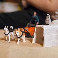 SCHLEICH ANTARCTIC EXPEDITION