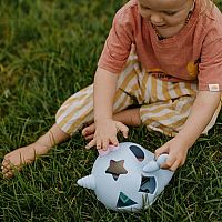 NARWHAL SHAPE SORTER