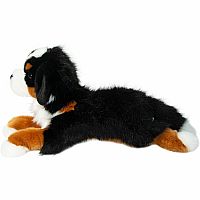 TROOPER BERNESE MOUNTAIN DOG