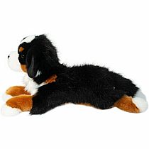 TROOPER BERNESE MOUNTAIN DOG