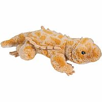 BOOGIE BEARDED DRAGON